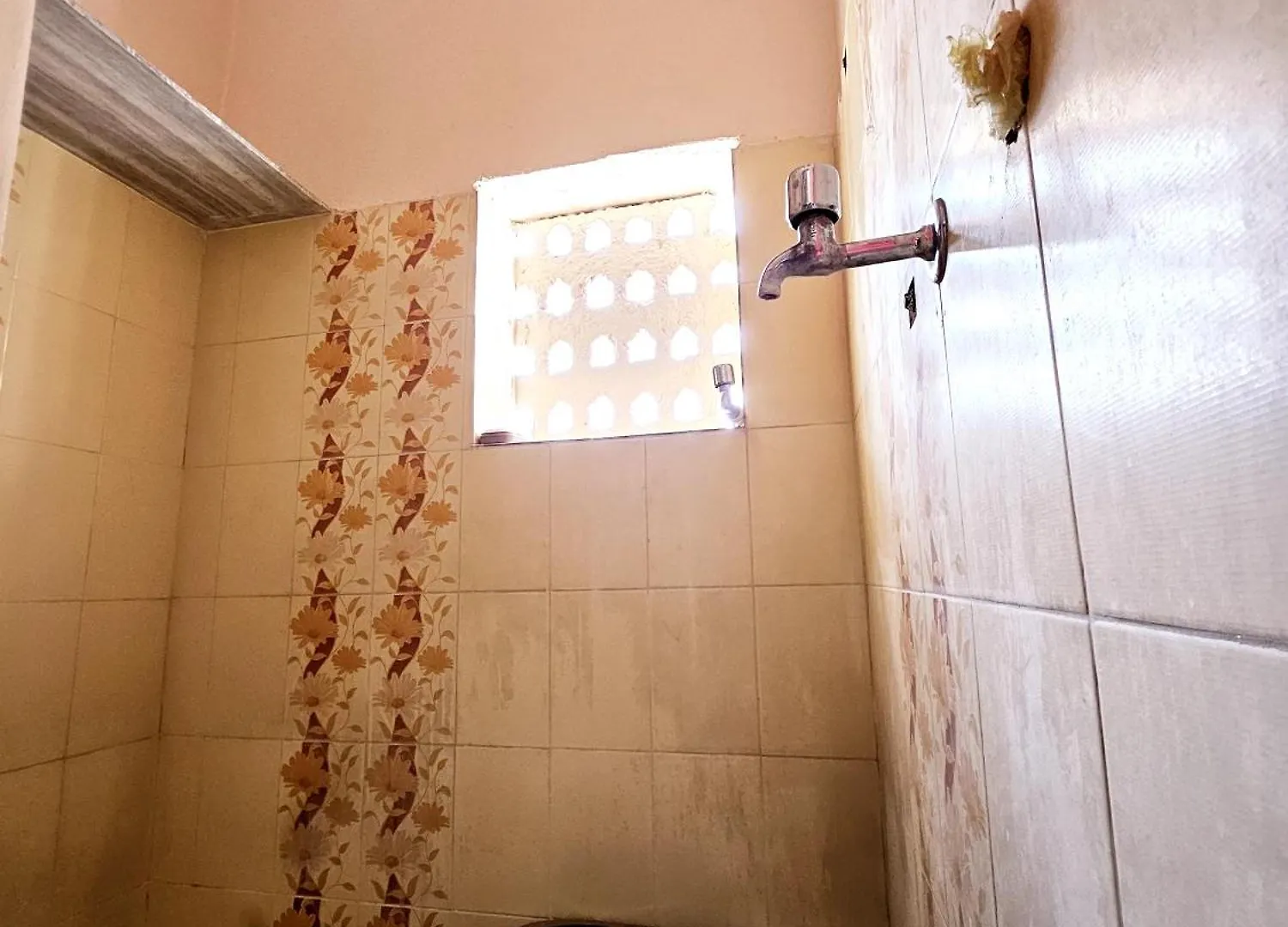 Nav Durga Homestay أُودايبور